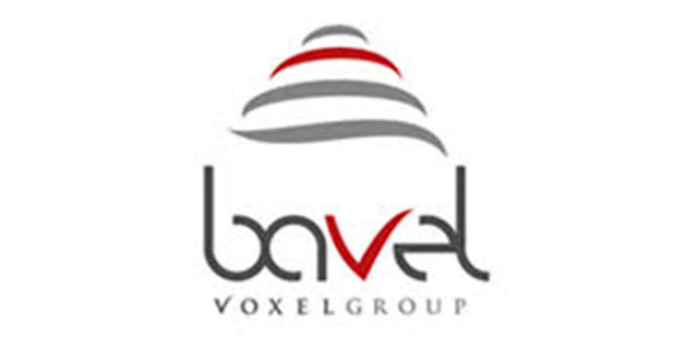 Bavel Voxel Group