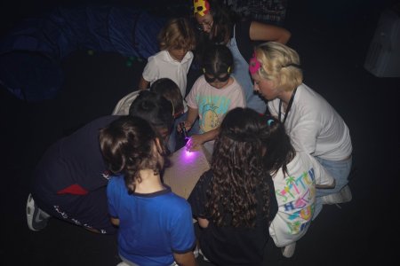 Criaturas Encantadas | Aventurico Monumental